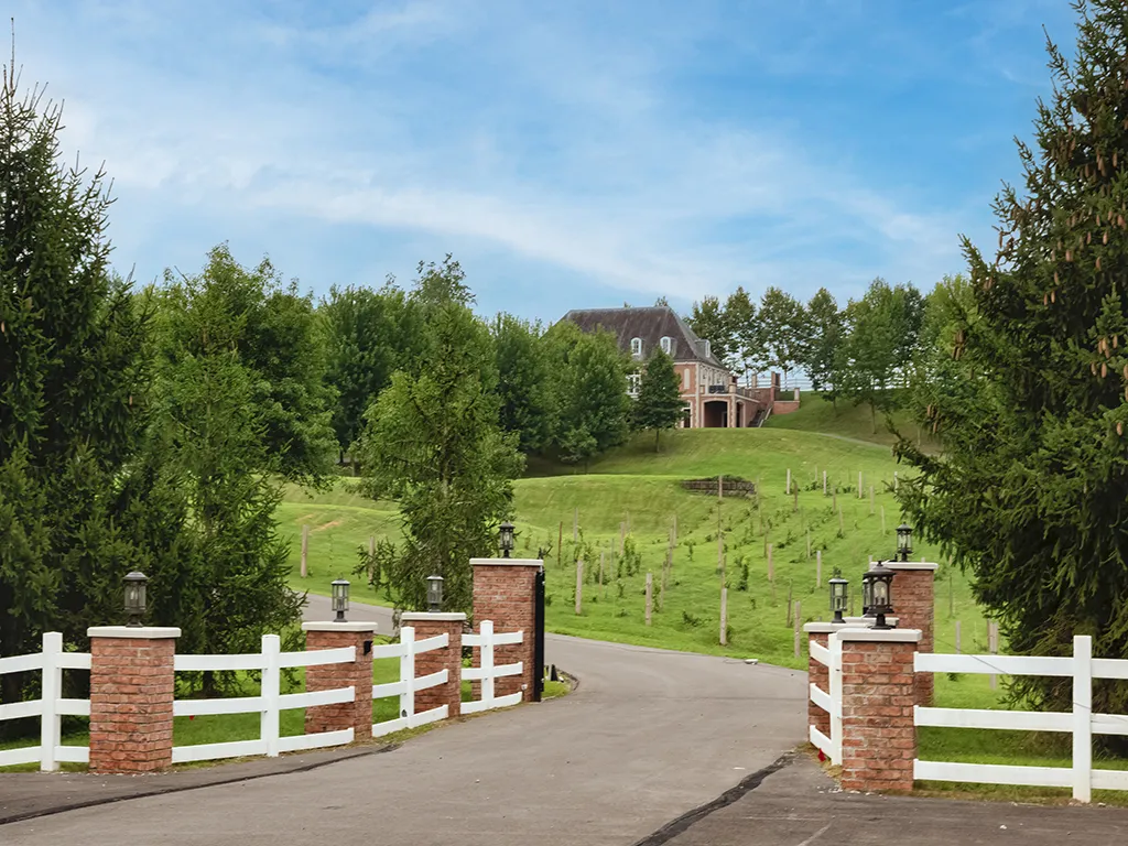 Drive through the vineyard